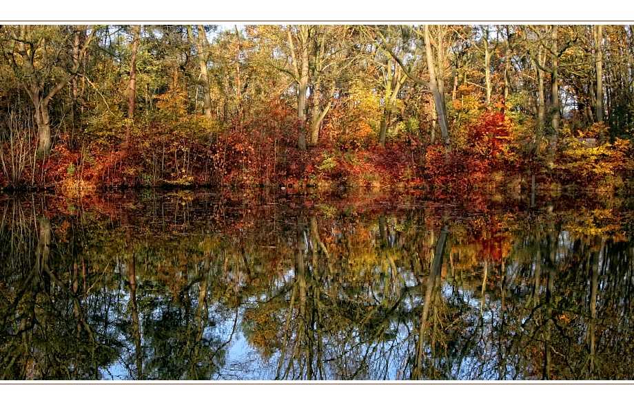 Herbstlicher See am Morgen