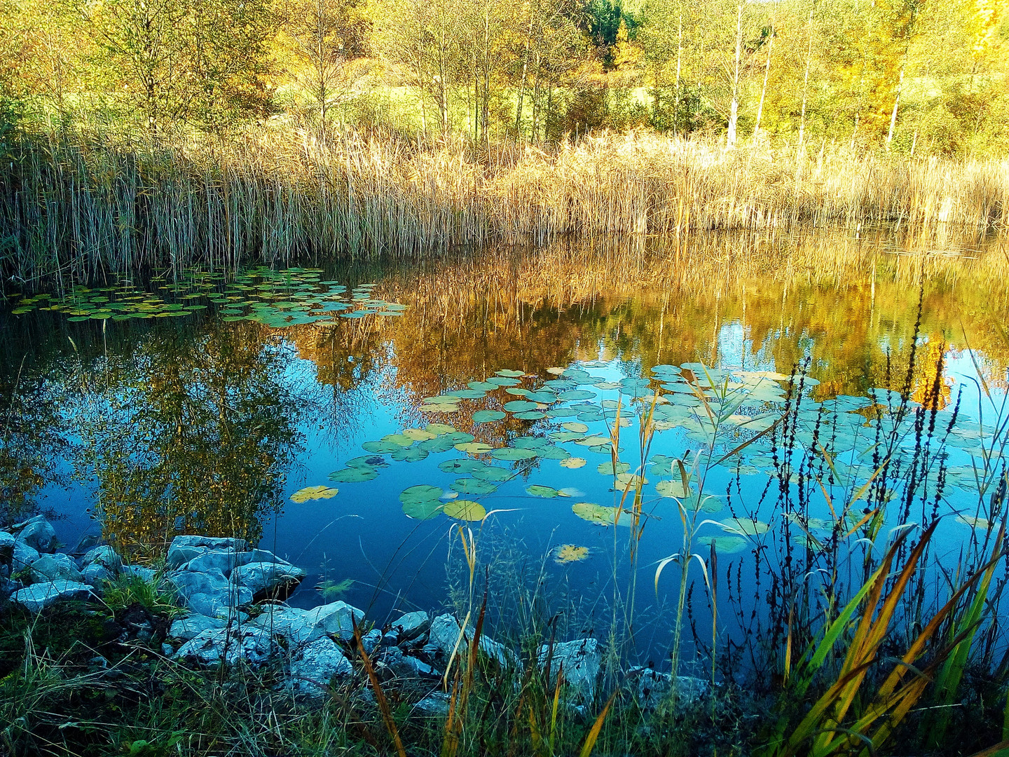 Herbstlicher See