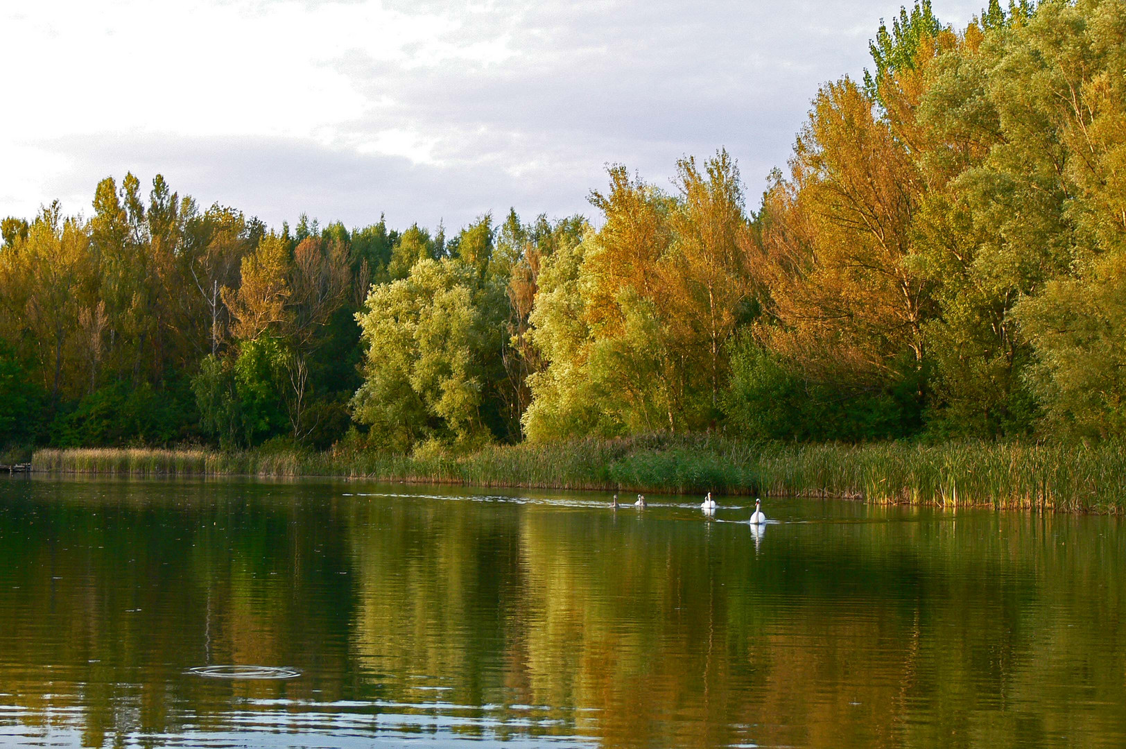 Herbstlicher See