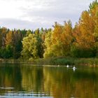 Herbstlicher See