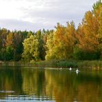 Herbstlicher See