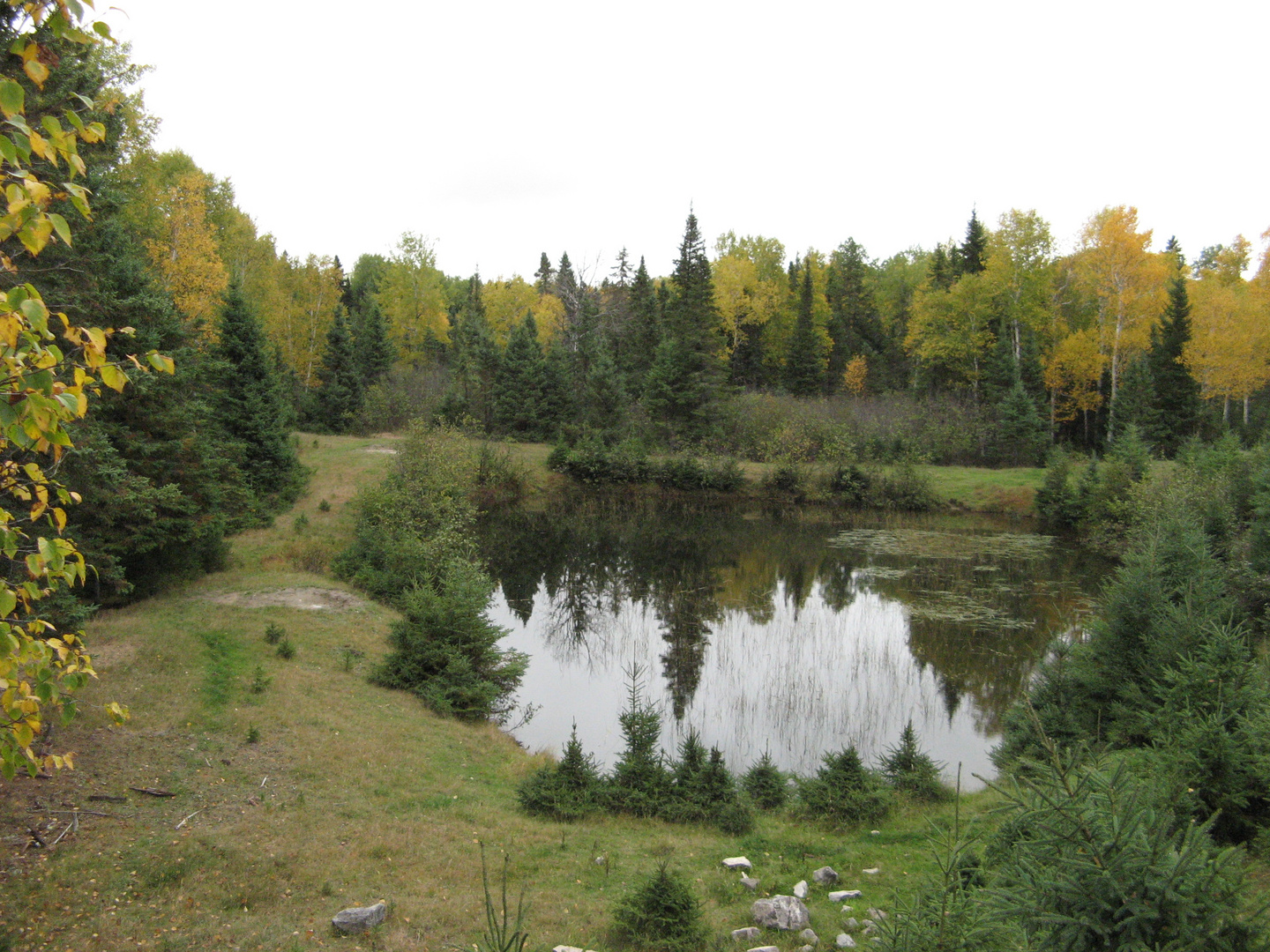 Herbstlicher See ( Quebec/ Kanada )