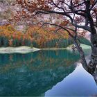 Herbstlicher Seealpsee