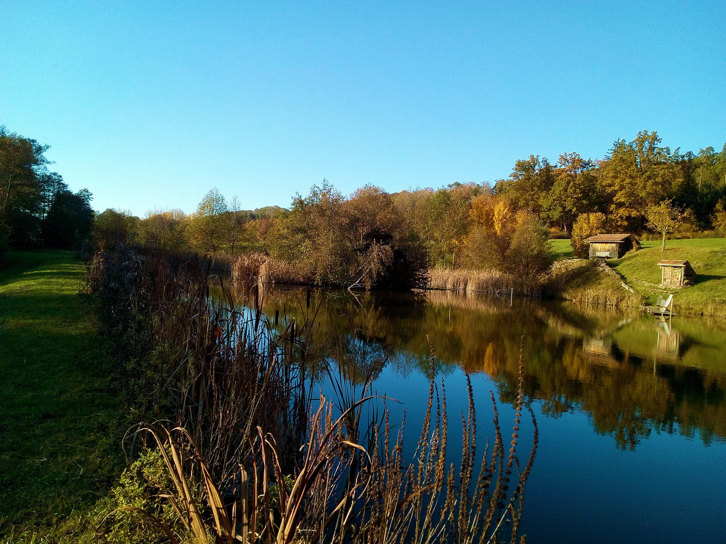 Herbstlicher Seeblick