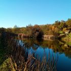 Herbstlicher Seeblick