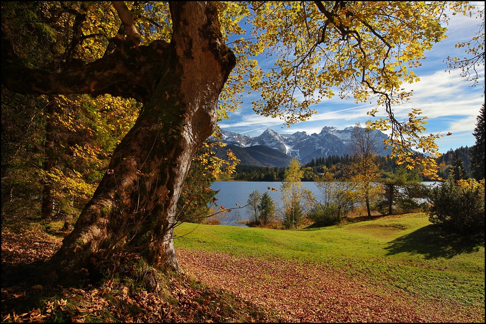 ~ Herbstlicher Seeblick II ~