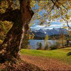 ~ Herbstlicher Seeblick II ~