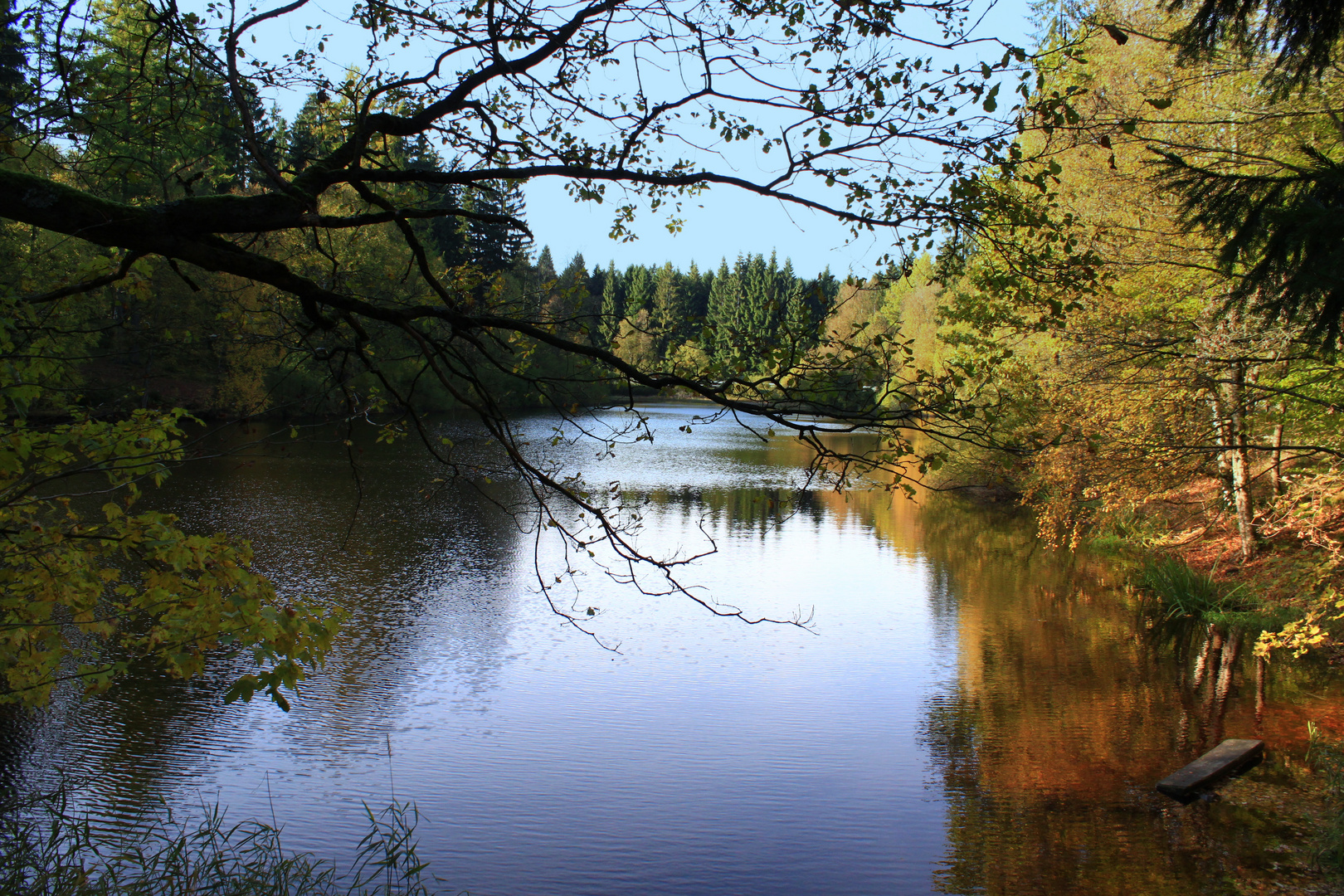 -Herbstlicher Solling-