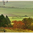 Herbstlicher Solling-Blick