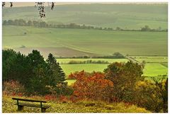 Herbstlicher Solling-Blick