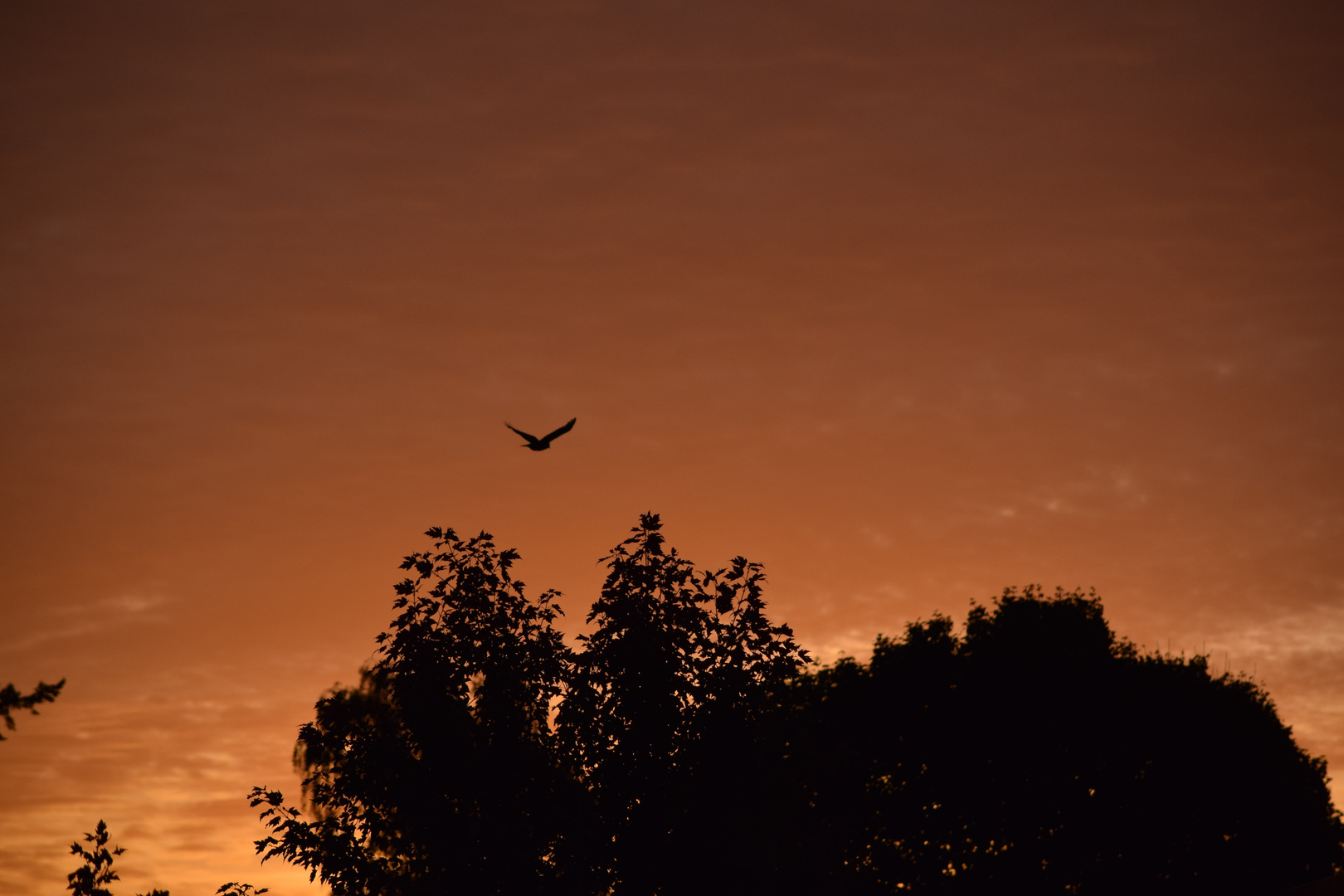 herbstlicher Sonnenaufgang