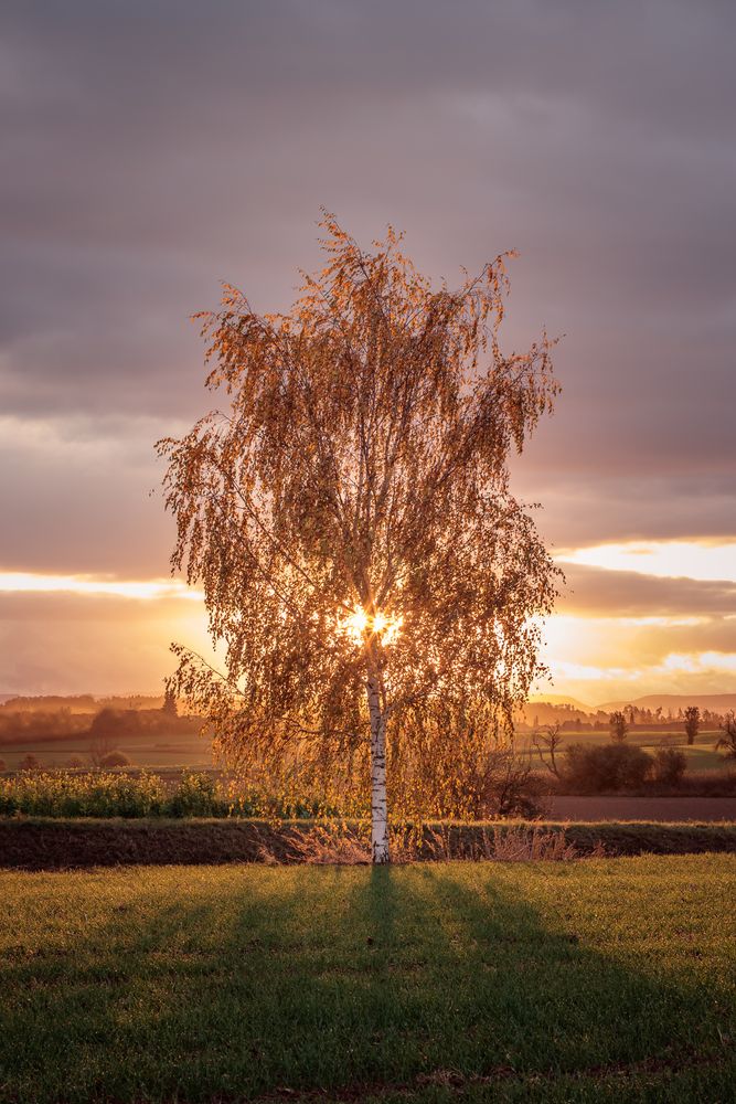 Herbstlicher Sonnenaufgang