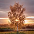 Herbstlicher Sonnenaufgang