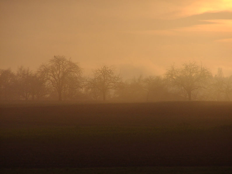 Herbstlicher Sonnenaufgang