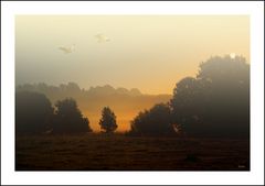 ... Herbstlicher Sonnenaufgang ...