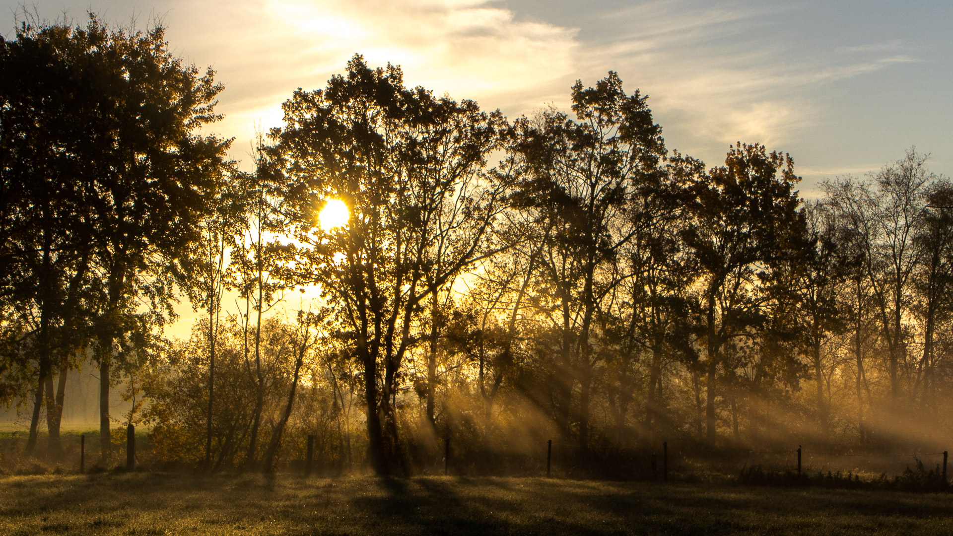 Herbstlicher Sonnenaufgang