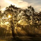 Herbstlicher Sonnenaufgang