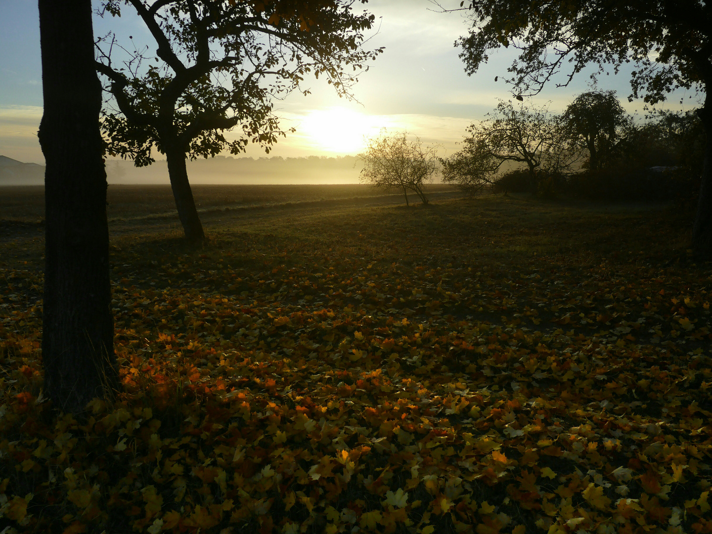 herbstlicher sonnenaufgang