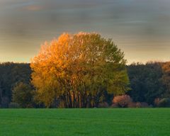 herbstlicher Sonnenaufgang