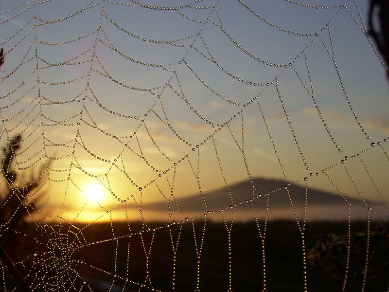 Herbstlicher Sonnenaufgang am Fuße des Krayenberges