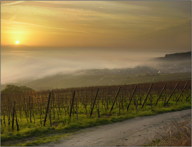 Herbstlicher Sonnenaufgang am Oberrhein