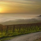 Herbstlicher Sonnenaufgang am Oberrhein