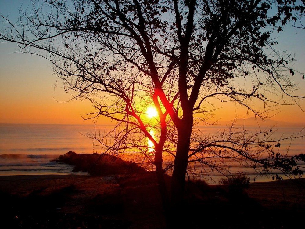 herbstlicher Sonnenaufgang am Strand