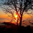 herbstlicher Sonnenaufgang am Strand