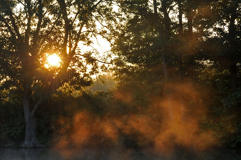 (Herbstlicher) Sonnenaufgang an der Wakenitz