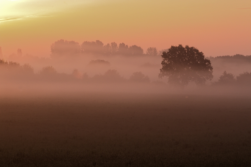 Herbstlicher Sonnenaufgang . . .