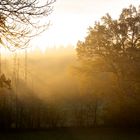 herbstlicher Sonnenaufgang im Frühnebel