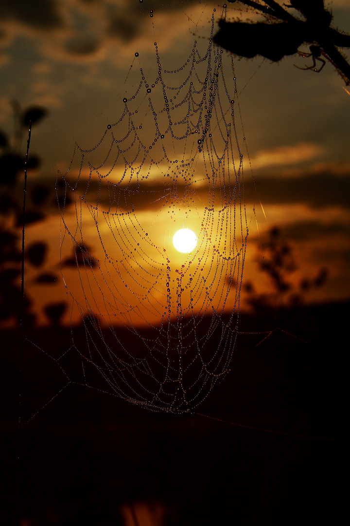 Herbstlicher Sonnenaufgang im NSG