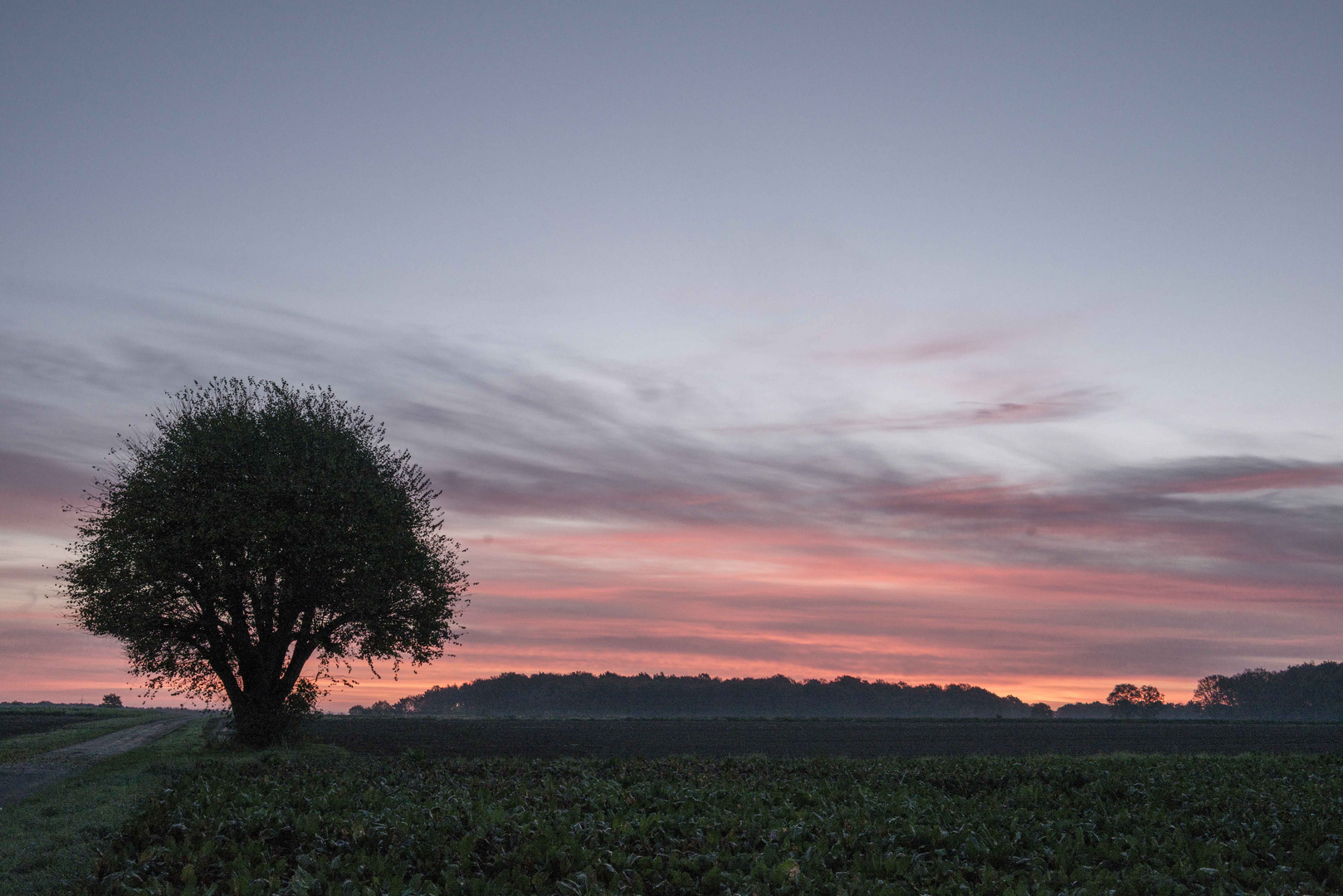 Herbstlicher Sonnenaufgang im Peiner Land