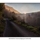 Herbstlicher Sonnenaufgang im Sasbachtal
