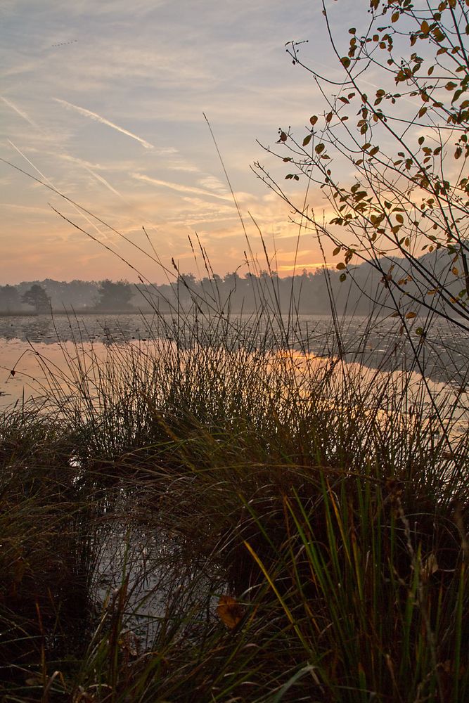 Herbstlicher Sonnenaufgang im Schwattet Gatt (Vreden)