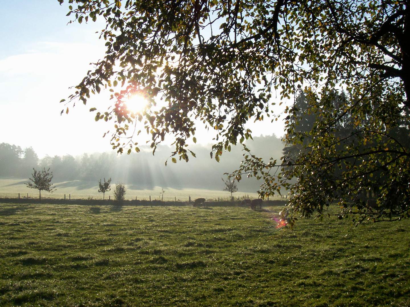 Herbstlicher Sonnenaufgang in Sankt Ottilien