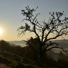 Herbstlicher Sonnenaufgang über der Tannenburg