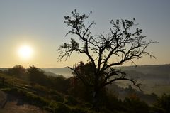 Herbstlicher Sonnenaufgang über der Tannenburg