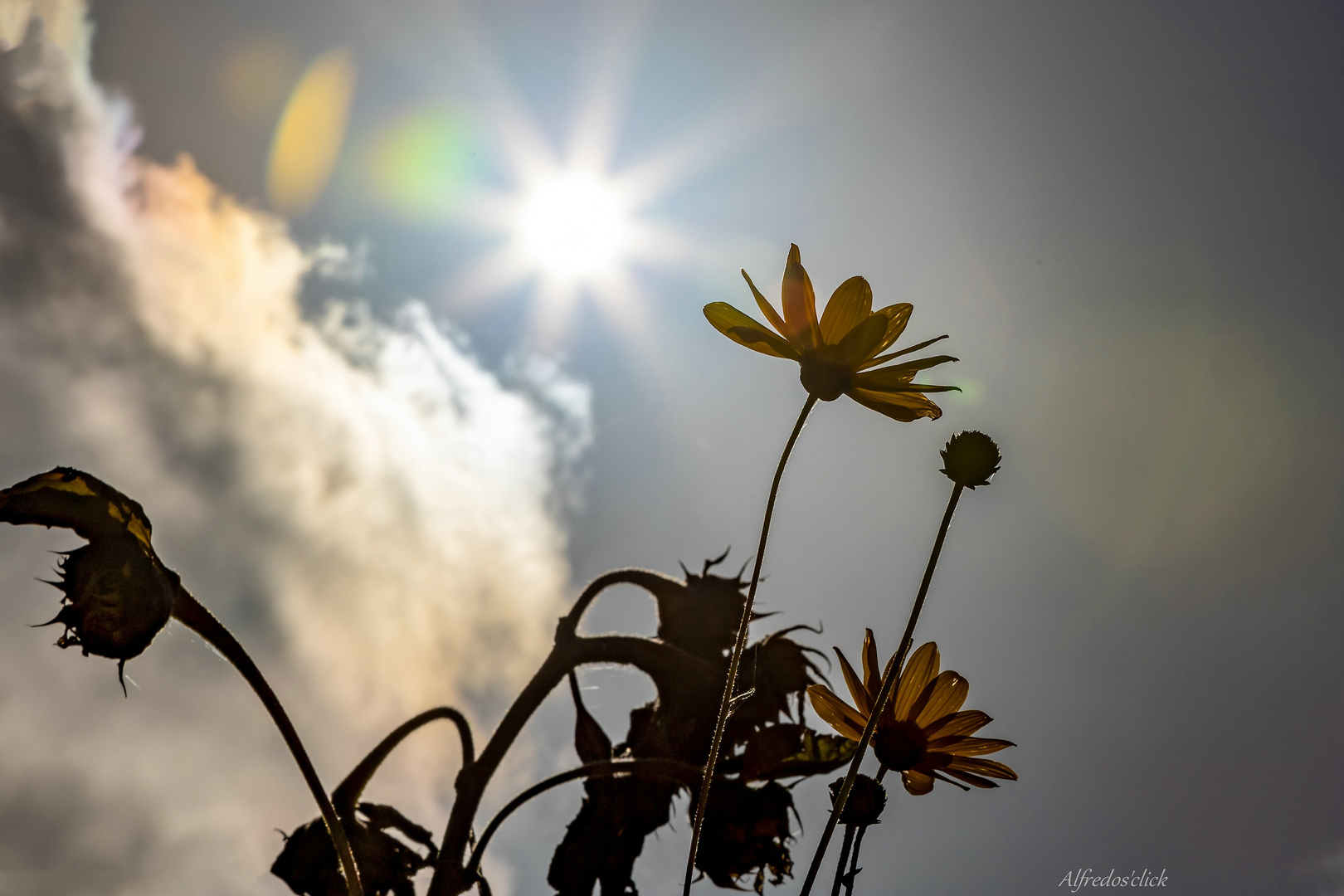  Herbstlicher Sonnenschein