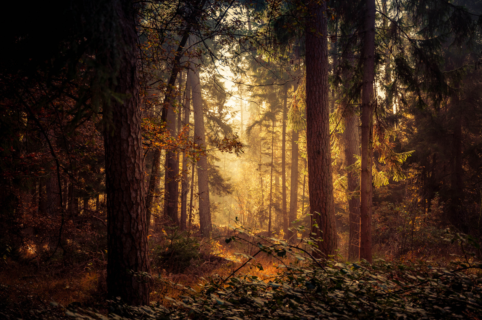 Herbstlicher Sonnenschein