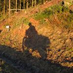 herbstlicher sonnenschein - wirft lange schatten