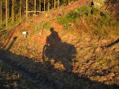 herbstlicher sonnenschein - wirft lange schatten