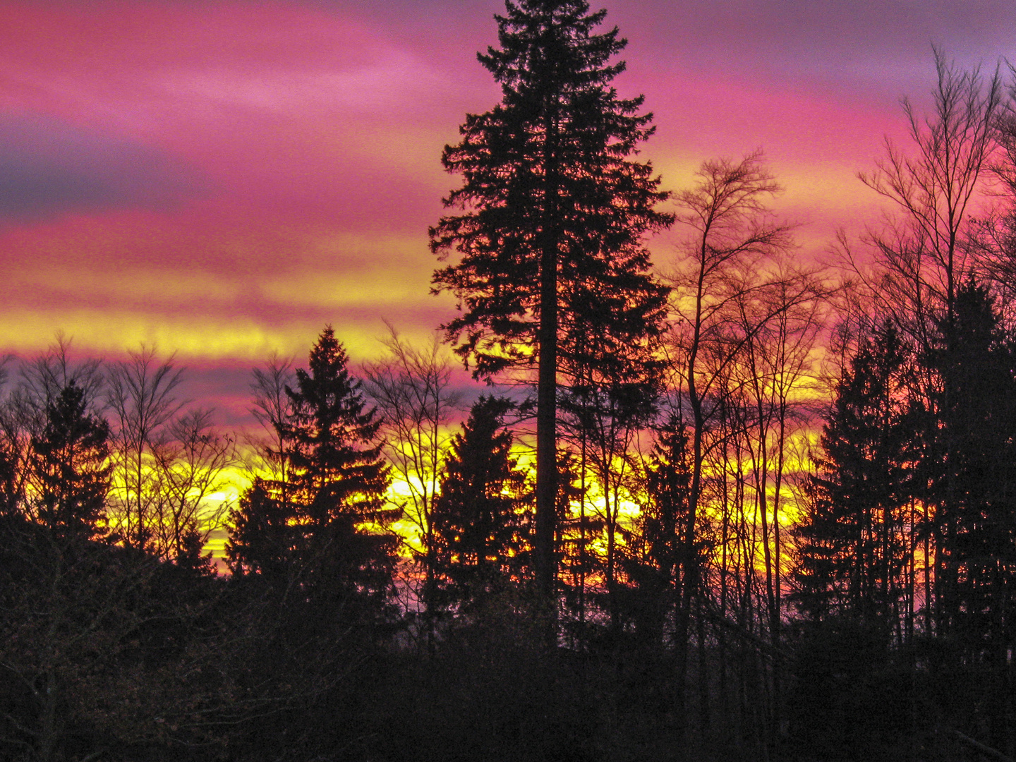 … herbstlicher Sonnenuntergang …