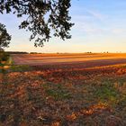 herbstlicher Sonnenuntergang