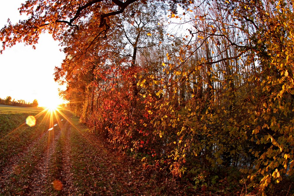 herbstlicher Sonnenuntergang