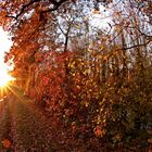 herbstlicher Sonnenuntergang