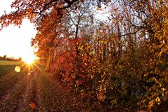 herbstlicher Sonnenuntergang