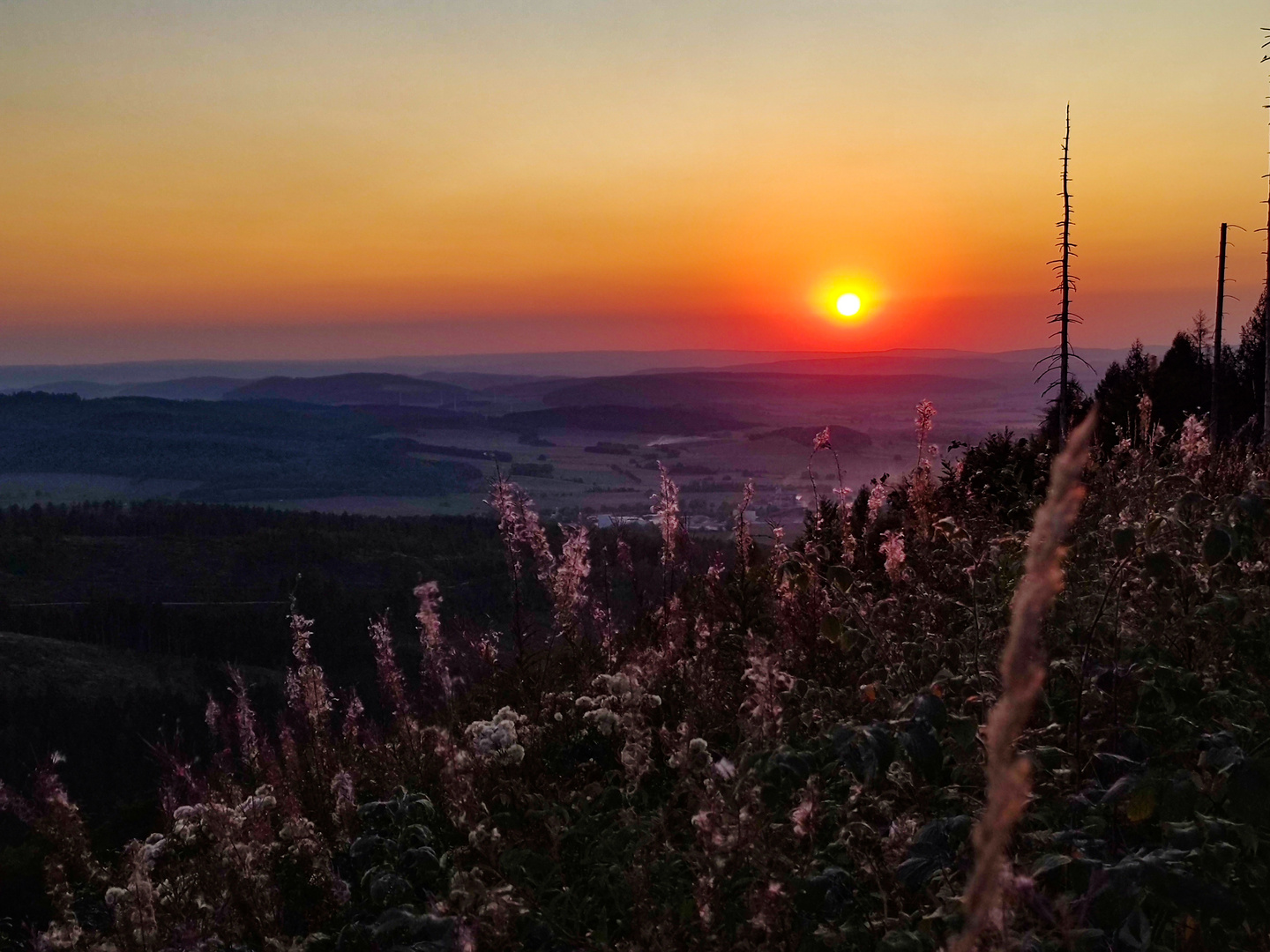 herbstlicher Sonnenuntergang