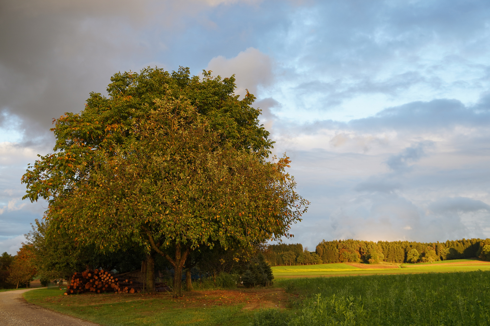 Herbstlicher Sonnenuntergang......