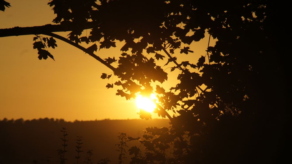 Herbstlicher Sonnenuntergang